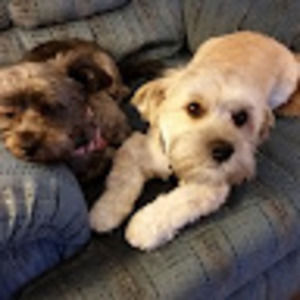 Meet your Posher, Gail